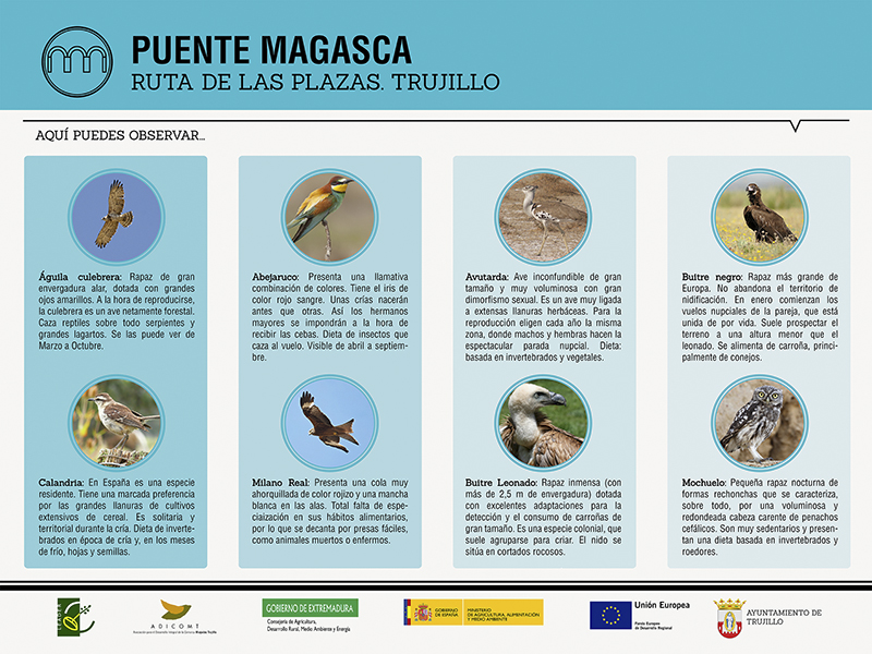 Rutas ornitológicas de Trujillo